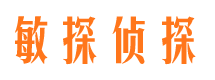 应县外遇调查取证